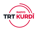 International Radio Channel Broadcasting in Kurdish